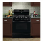 Kenmore 74459 5 cu. ft. Gas Range with Convection - Black
