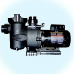 Jandy FloPro Medium Head Pump | .75HP Up-Rated | 115V/230V | FHPM.75