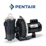 Pentair Challenger High Pressure Energy Efficient Pool Pump | Single Speed | 115/230V 0.5HP Full Rated | 345212