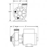 Waterway Iron Might Circulation Pump | 0.125HP 115V 60HZ 48-Frame Motor | 3410030-1E
