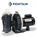Pentair Waterfall Energy Efficient Pool Pump with Strainer | 115/230V AFP-75 | 340350