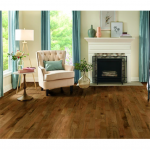 Bruce  Addison Spice Oak 3-1/4-in W x 3/4-in T Smooth/Traditional Solid Hardwood Flooring (22-sq ft)