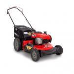 Craftsman 11A-B26B791 21 in. 150 cc Gas Lawn Mower