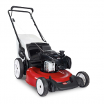 Toro Recycler 21332 21 in. 140 cc Gas Lawn Mower