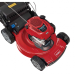  Toro Recycler 21462 22 in. 163 cc Gas Self-Propelled Lawn Mower 