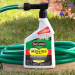 Sta-Green  Ready-to Weed and Feed 32-fl oz 7500-sq ft 20-0-0 All-purpose Weed Feed Weed Control Fertilizer