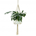 allen + roth  1.4-in White Macrame Plant Hook(s)