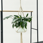 allen + roth  1.4-in White Macrame Plant Hook(s)