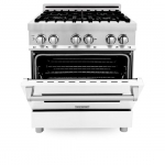 ZLINE - Professional 4 Cu. Ft. Freestanding Dual Fuel Convection Range - Stainless steel