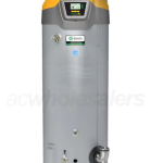 A.O. Smith 60 Gal. Storage 95% Efficiency LP Water Heater Direct Vent